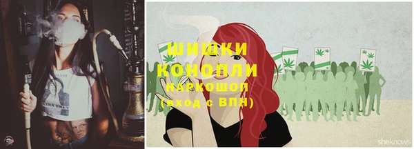 бошки Белокуриха