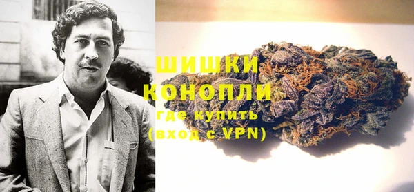 бошки Белокуриха