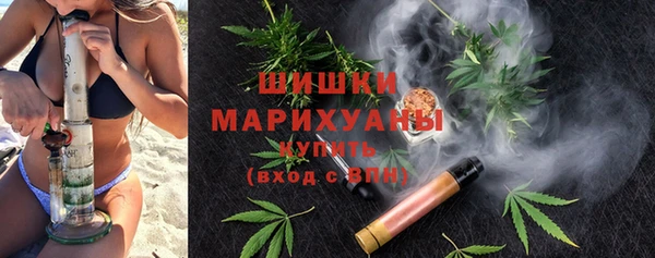 бошки Белокуриха