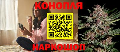 молекула духа Лесосибирск