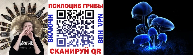 Псилоцибиновые грибы мухоморы  блэк спрут маркетплейс  Гусев  купить наркотики сайты 
