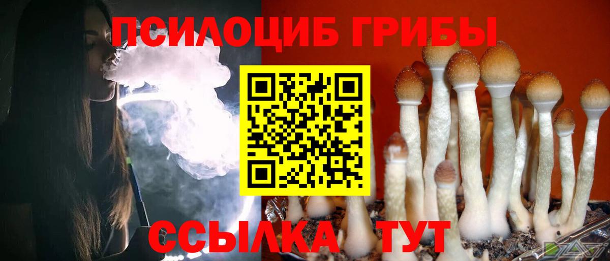 Гусев  Галлюциногенные грибы Magic Shrooms  Вход с VPN  Галлюциногенные грибы Psilocybe 